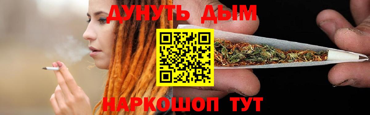 Каннабис семена  Вход с VPN  Канабис OG Kush  Белгород  Конопля MAZAR 